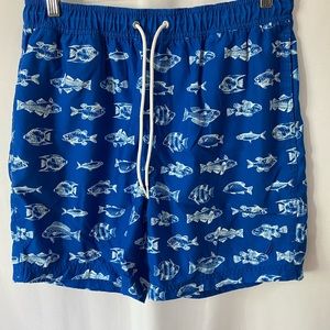 Nautica swim trunks